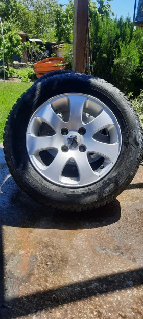 ������ ������