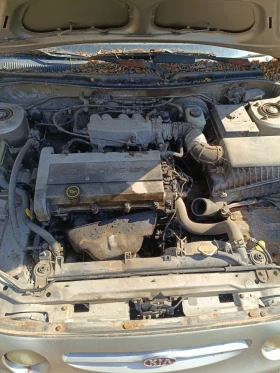Kia Shuma | Mobile.bg    6