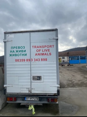 Toyota Dyna 3.0d Животновоз, снимка 5