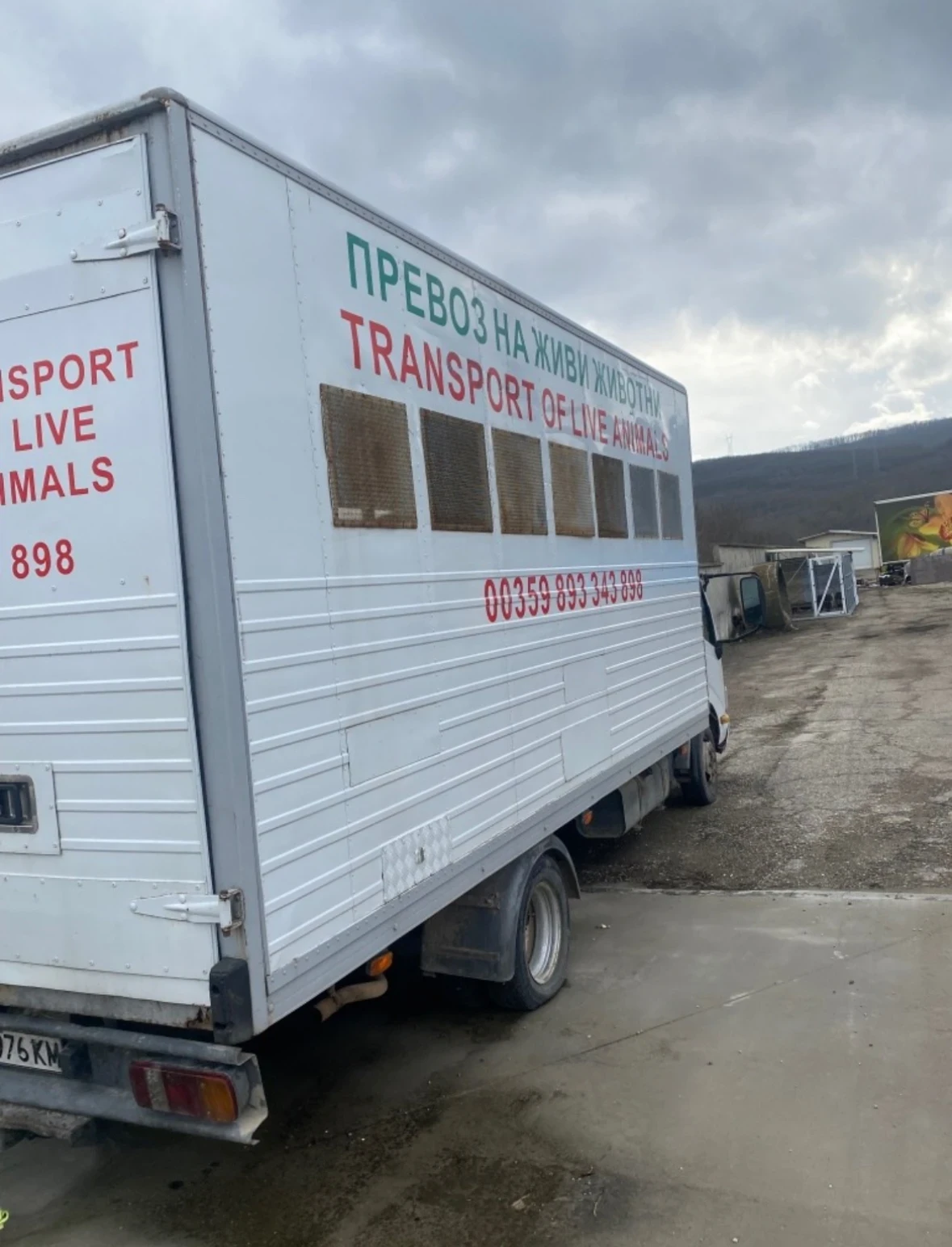 Toyota Dyna 3.0d Животновоз, снимка 2 - Камиони - 55048394