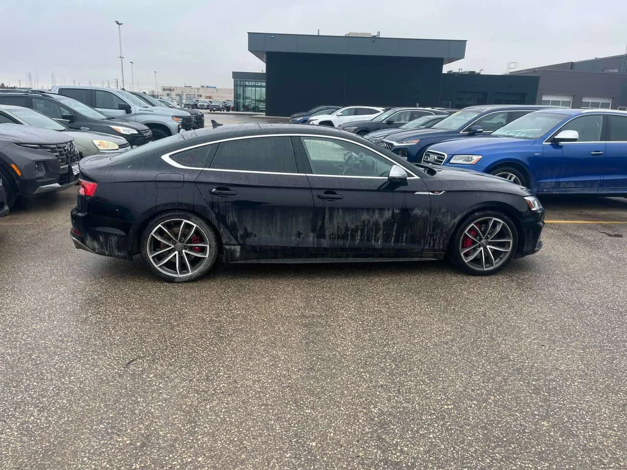 Audi S5 Technik/��������/���������/360 ������ | Mobile.bg � ����������� 4