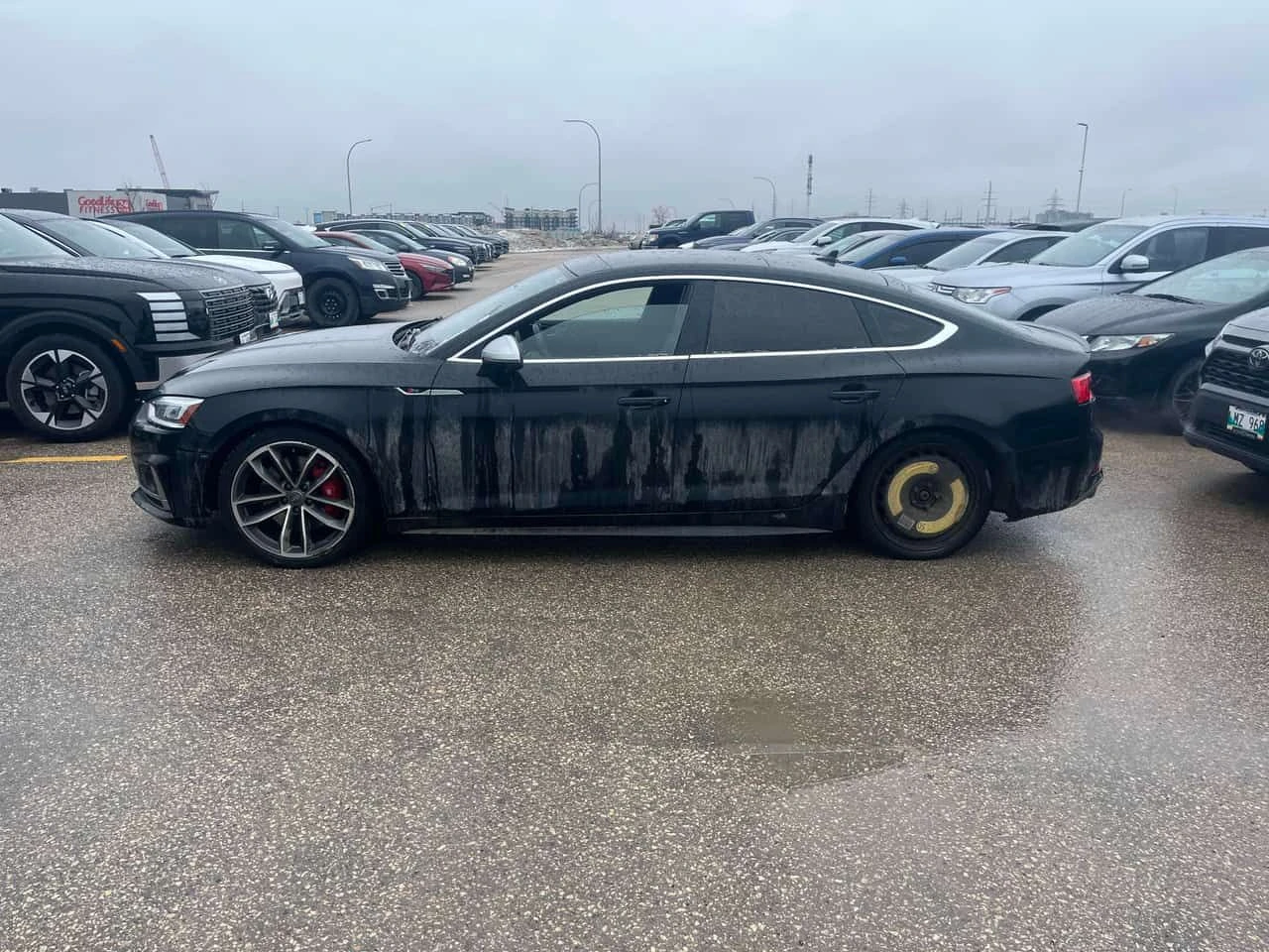 Audi S5 Technik/��������/���������/360 ������ | Mobile.bg � ����������� 3