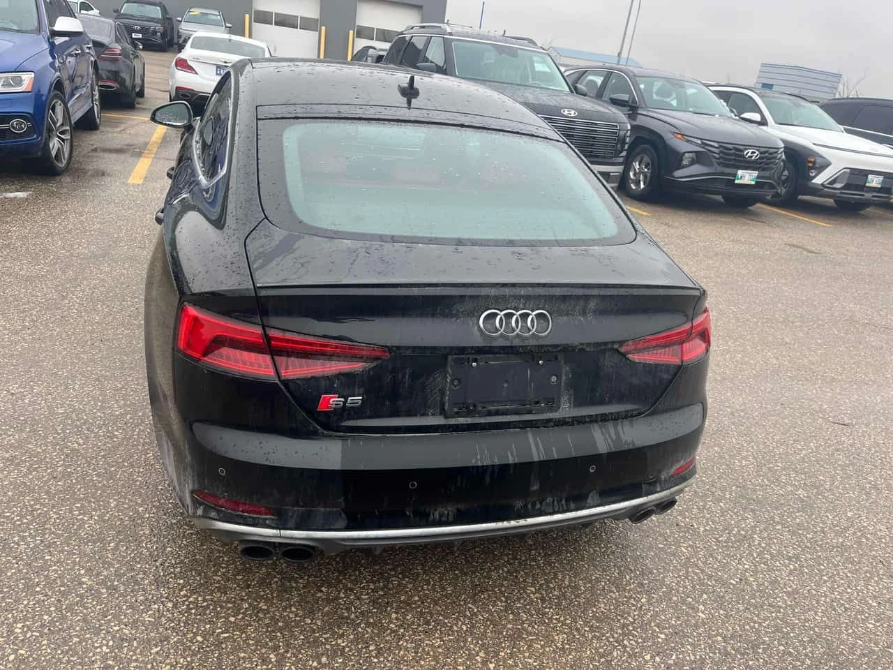 Audi S5 Technik/��������/���������/360 ������ | Mobile.bg � ����������� 5