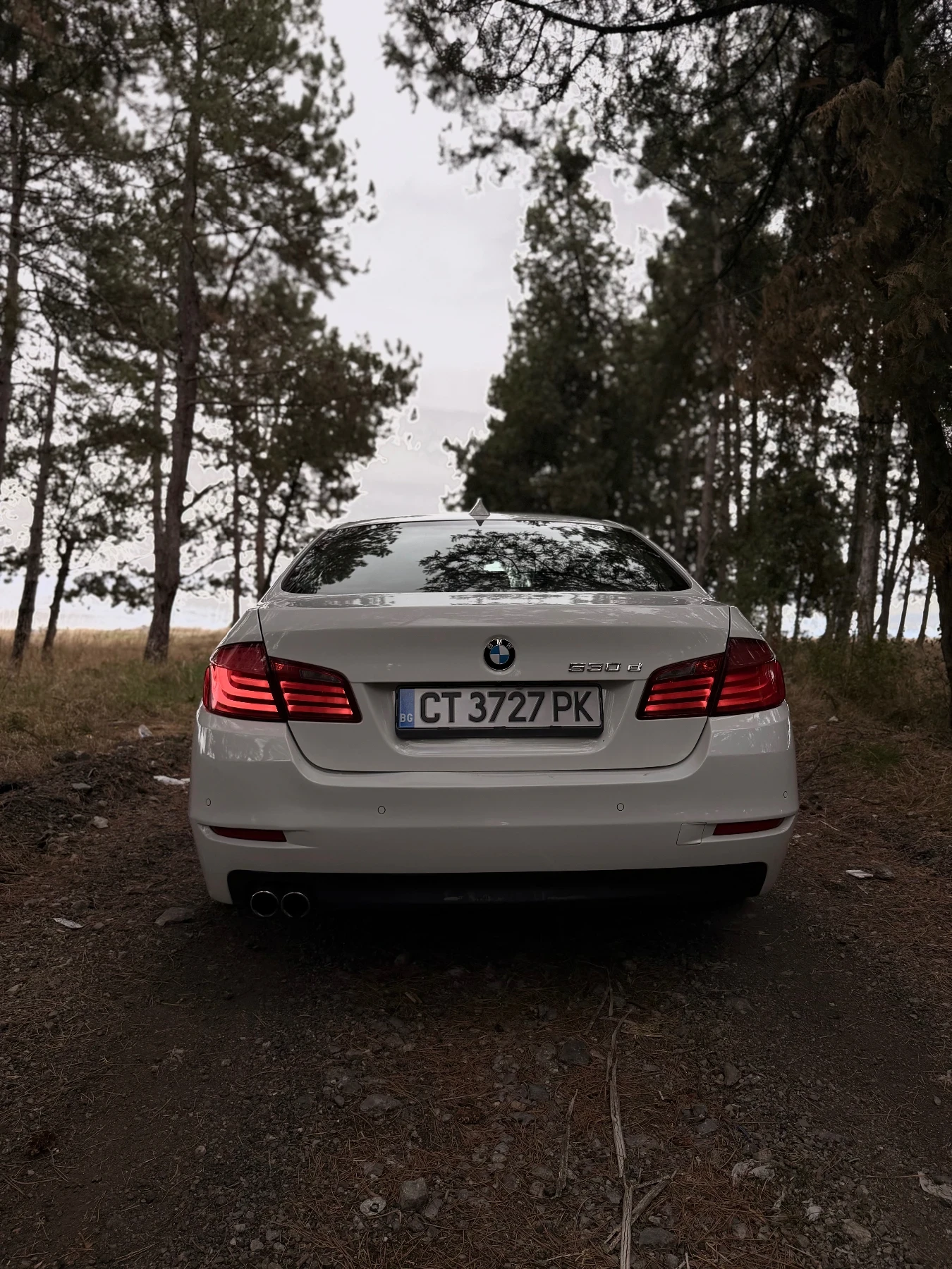 BMW 530, снимка 3 - Автомобили и джипове - 56233359