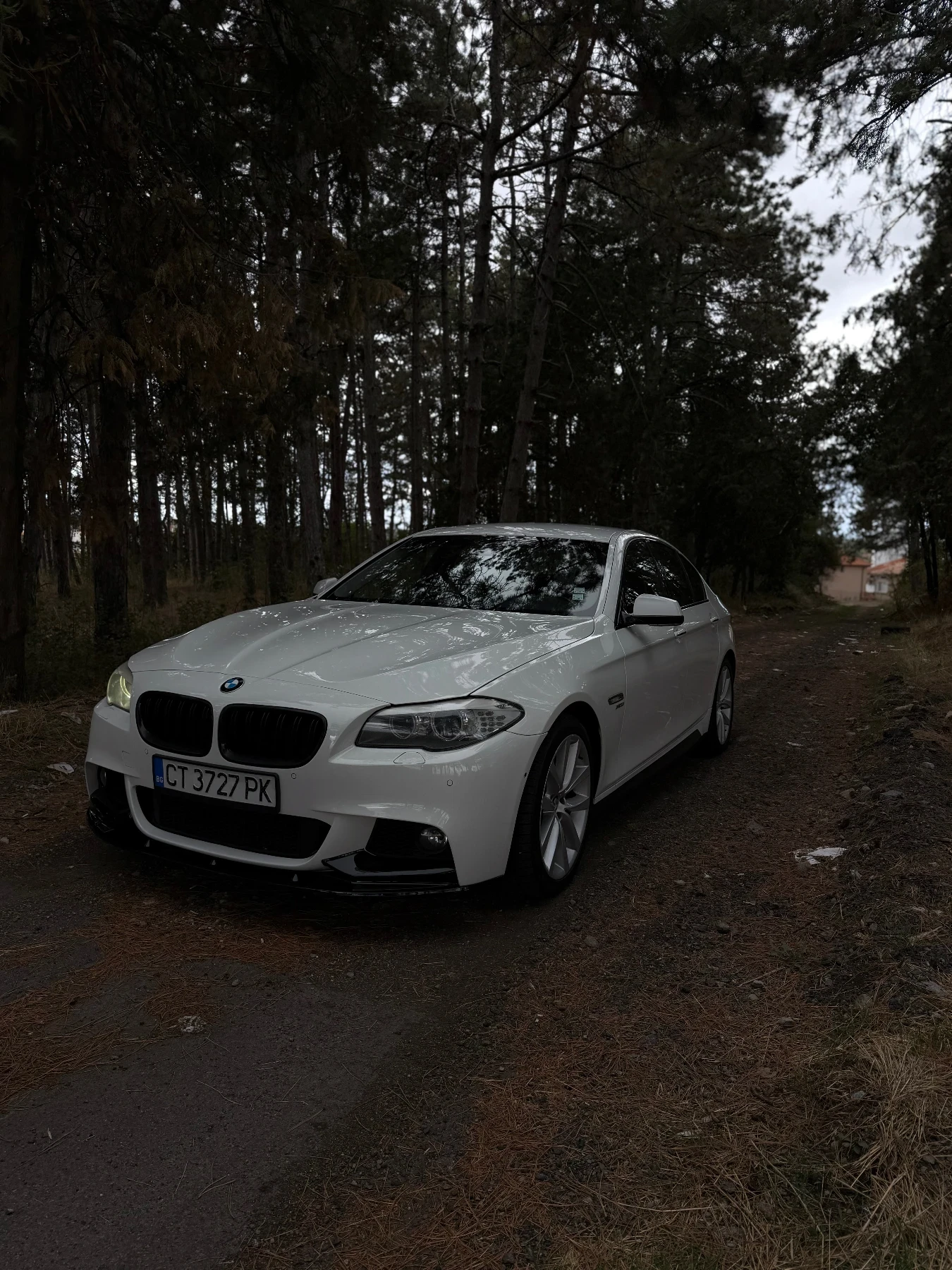 BMW 530, снимка 2 - Автомобили и джипове - 56233359