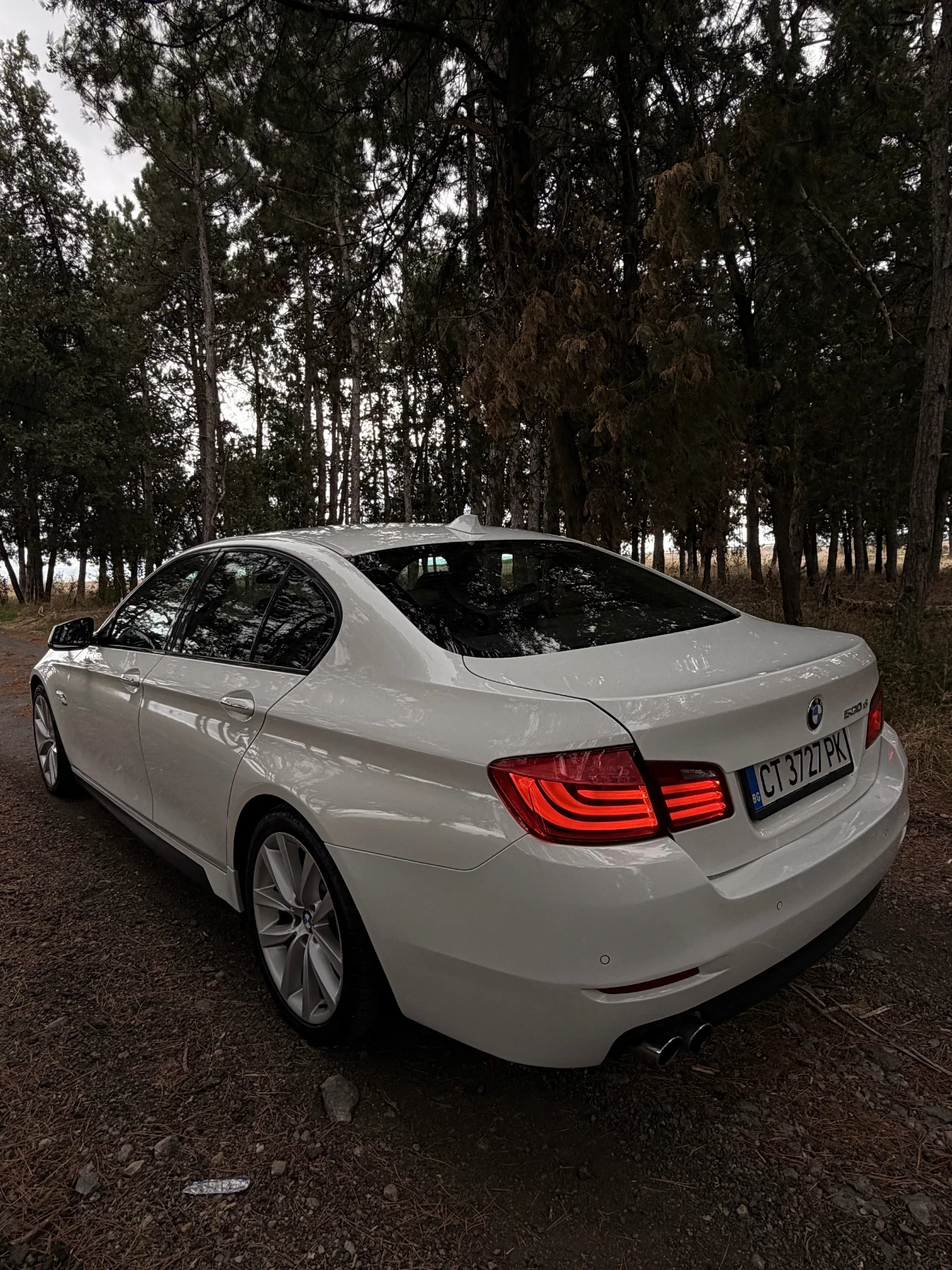 BMW 530, снимка 4 - Автомобили и джипове - 56233359