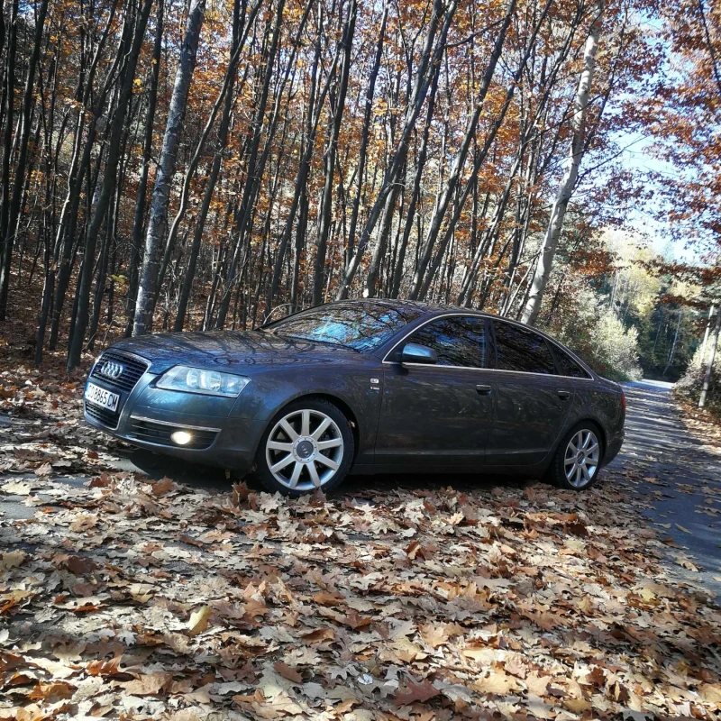 Audi A6 3.0 TDI Quattro S-line ръчка , снимка 2 - Автомобили и джипове - 52293062