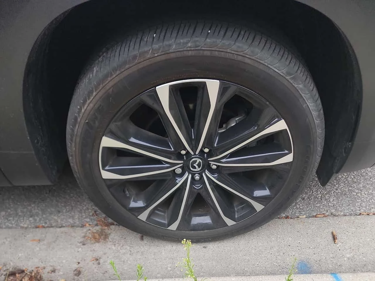 Mazda CX-50 * GT * ���������� ��� ������������ ������*  | Mobile.bg � ����������� 7