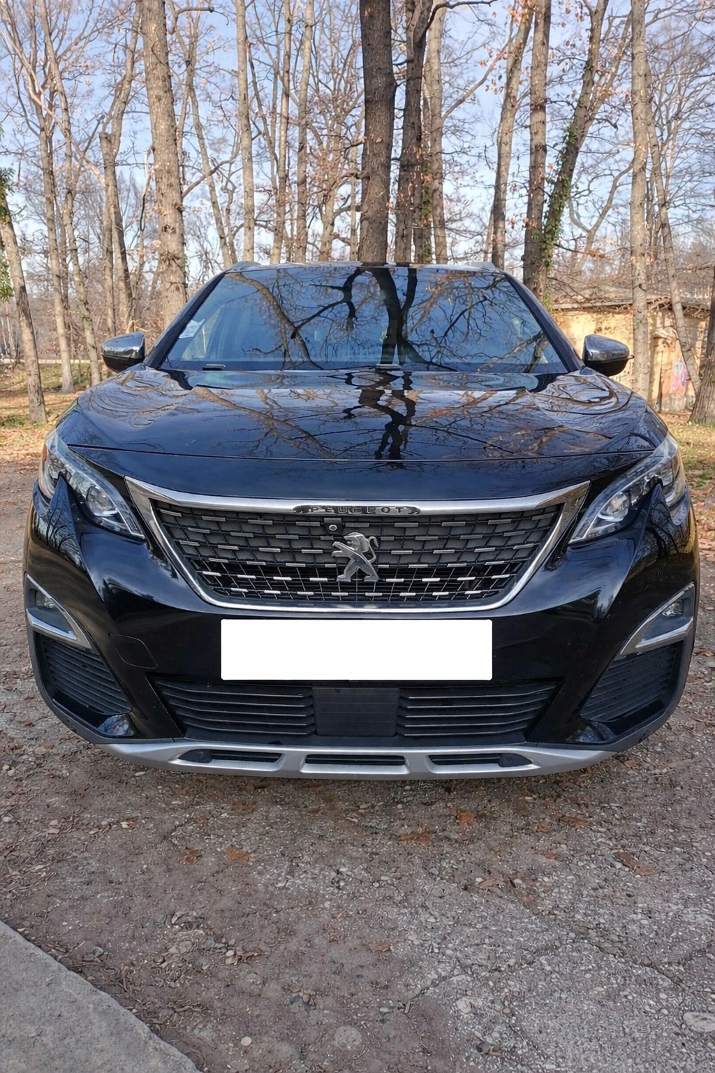 Peugeot 3008 * Вече налична 2.0/GT/Кожа/Пано/Масаж/Камера, снимка 1