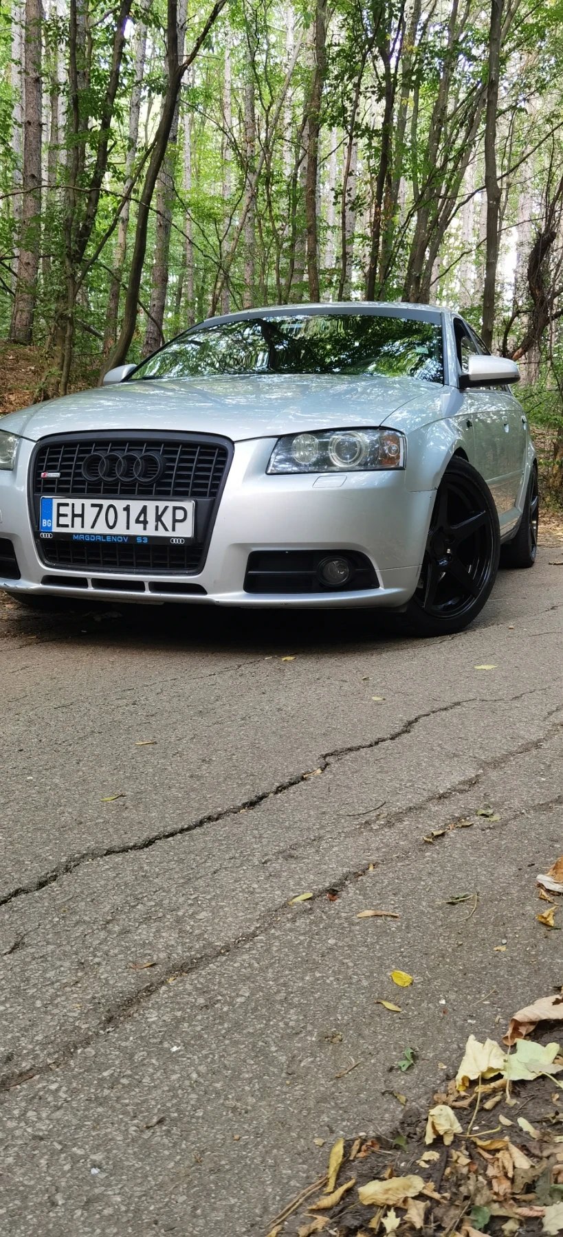 Audi A3, снимка 6 - Автомобили и джипове - 54954284