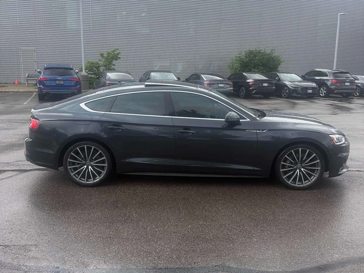 Audi A5 Technik S LINE/ПАНОРАМА/ДИСТРОНИК/360/OT AUDI, снимка 4 - Автомобили и джипове - 54964350