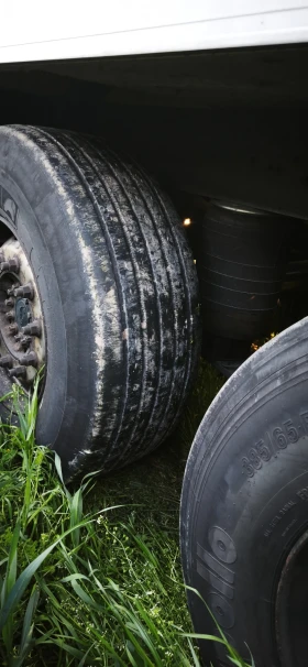 ����������� Schmitz SKO24 | Mobile.bg � ����� ������ 5