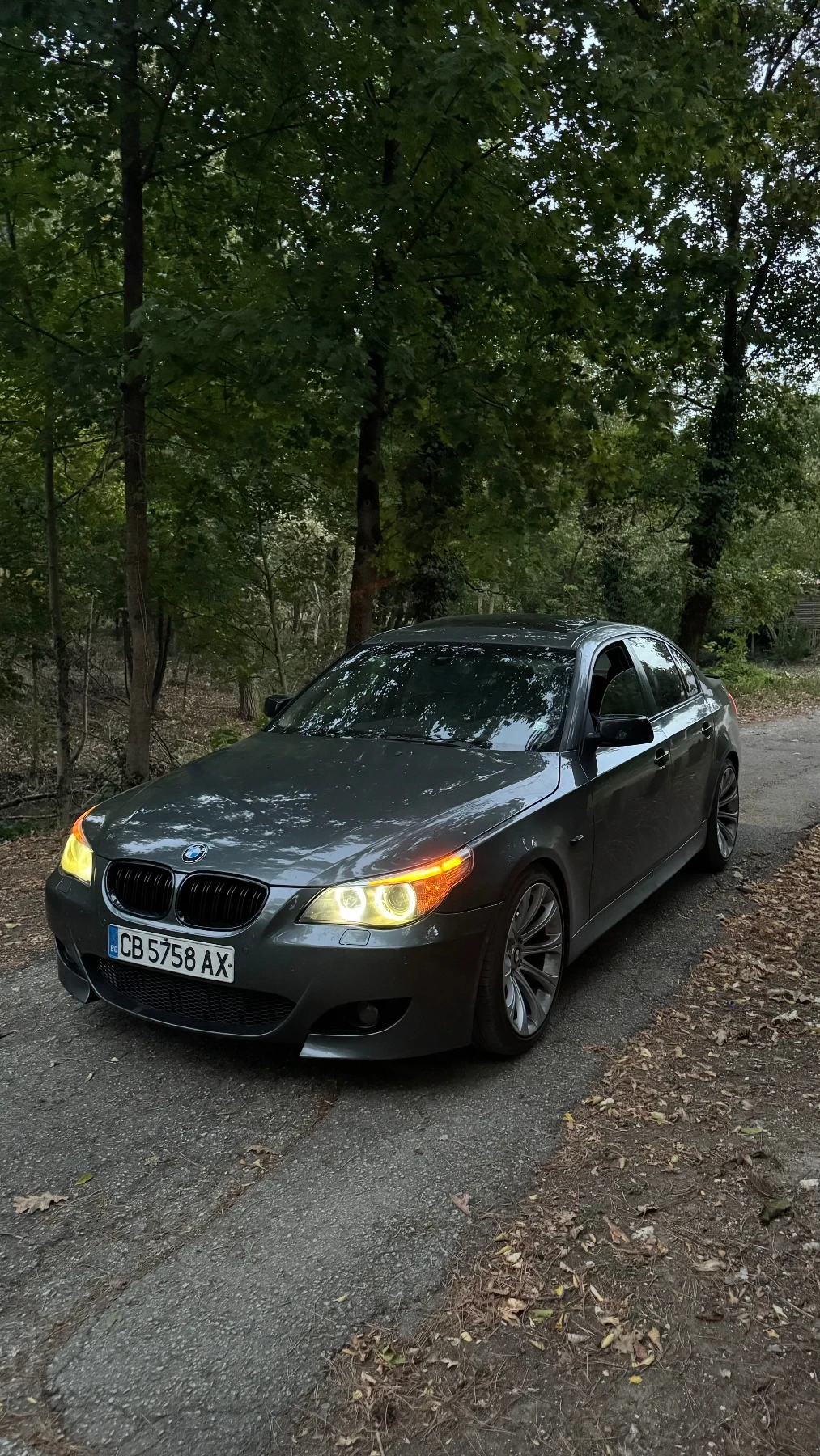 BMW 530, снимка 9 - Автомобили и джипове - 56510795