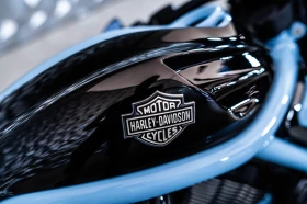 Harley-Davidson V-Rod 1 CUSTOM, снимка 13