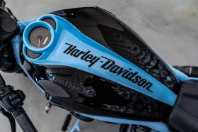 Harley-Davidson V-Rod 1 CUSTOM | Mobile.bg    15