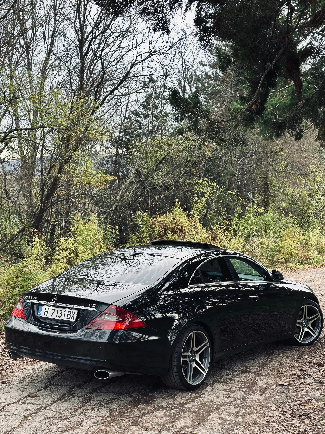 Mercedes-Benz CLS 320  - изображение 6