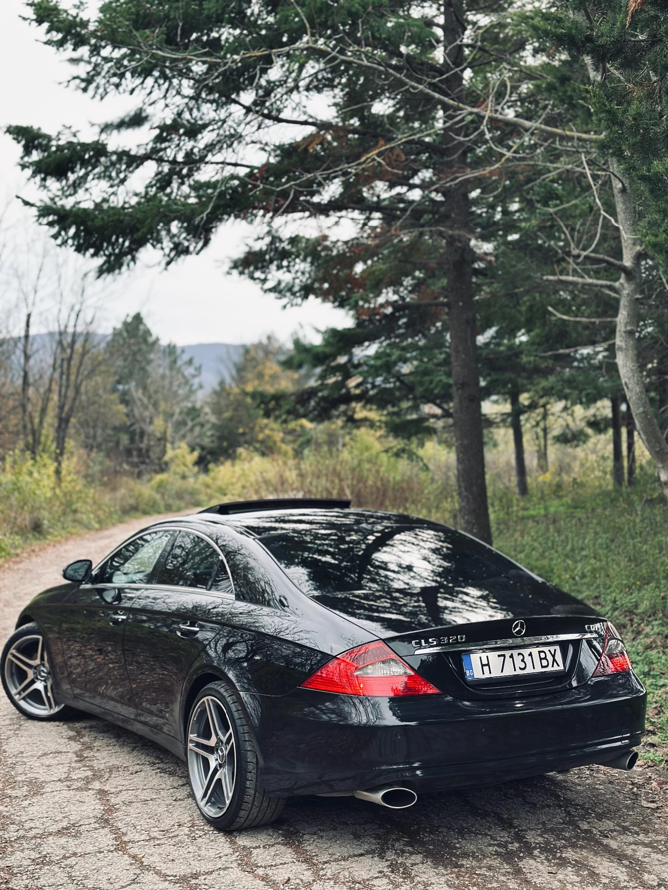 Mercedes-Benz CLS 320  - изображение 4