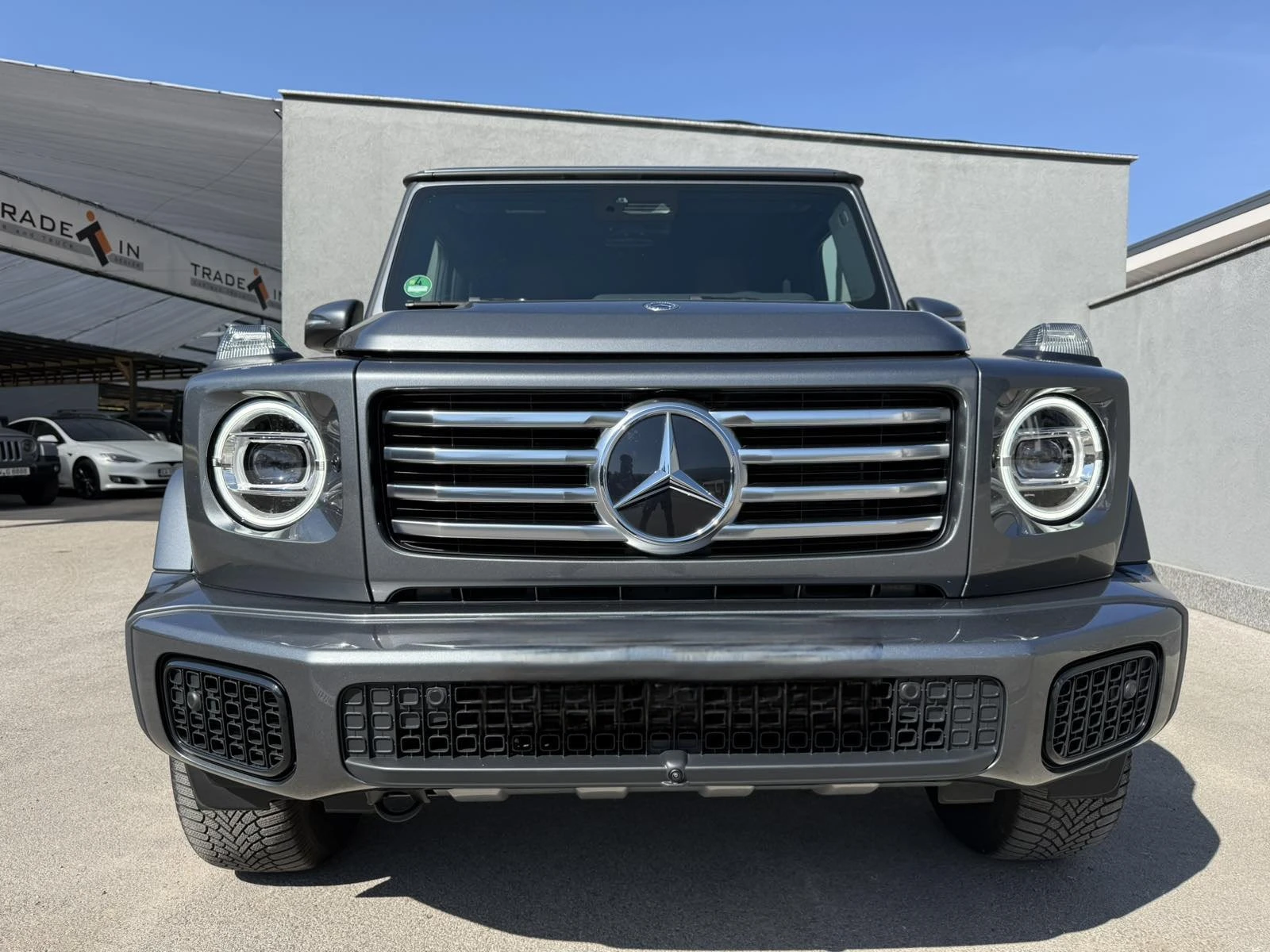 Mercedes-Benz G 450 d - изображение 2