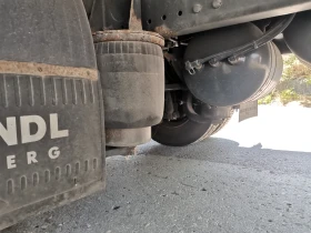 Man Tgl БЕЗ АДБЛУ, снимка 13