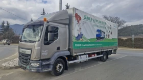 Daf Lf 250 EURO 6, снимка 1