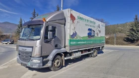 Daf Lf 250 EURO 6, снимка 1