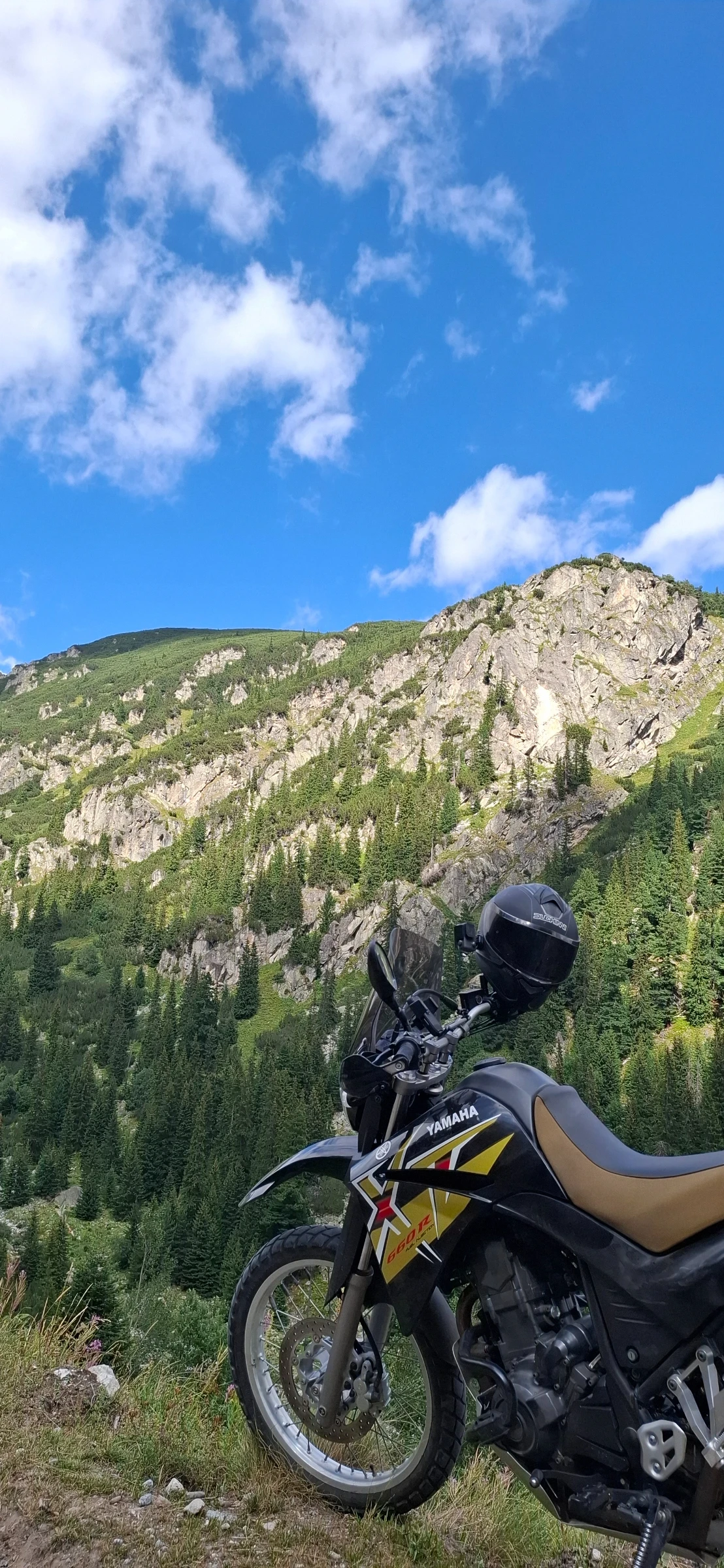 Yamaha Xt R - изображение 4