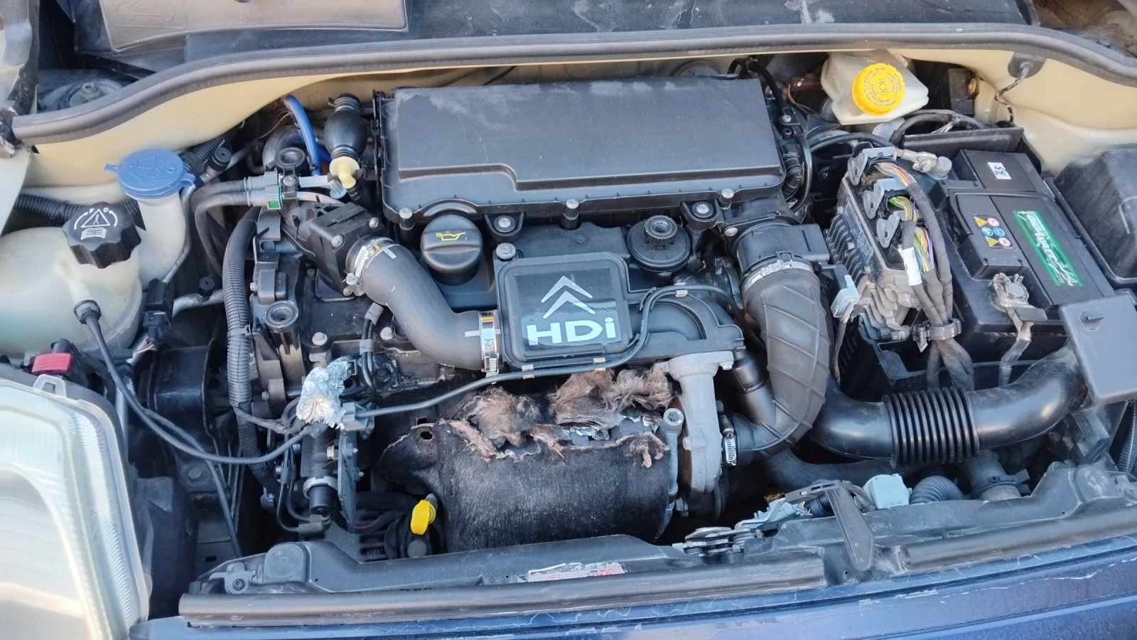 Citroen C2 1.4 HDI | Mobile.bg   10