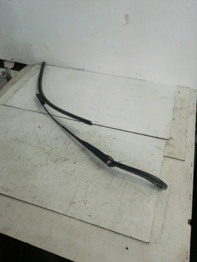 ����� �� �������� �� ���� �������� ���� ���� ����� �����