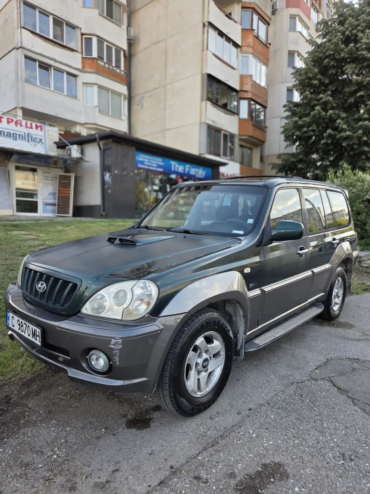 Hyundai Terracan 2.9crdi 4х4 бързи бавни теглич, снимка 9 - Автомобили и джипове - 54786694