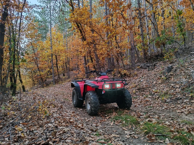 Honda FourTrax 4х4, снимка 1 - Мотоциклети и мототехника - 49510402