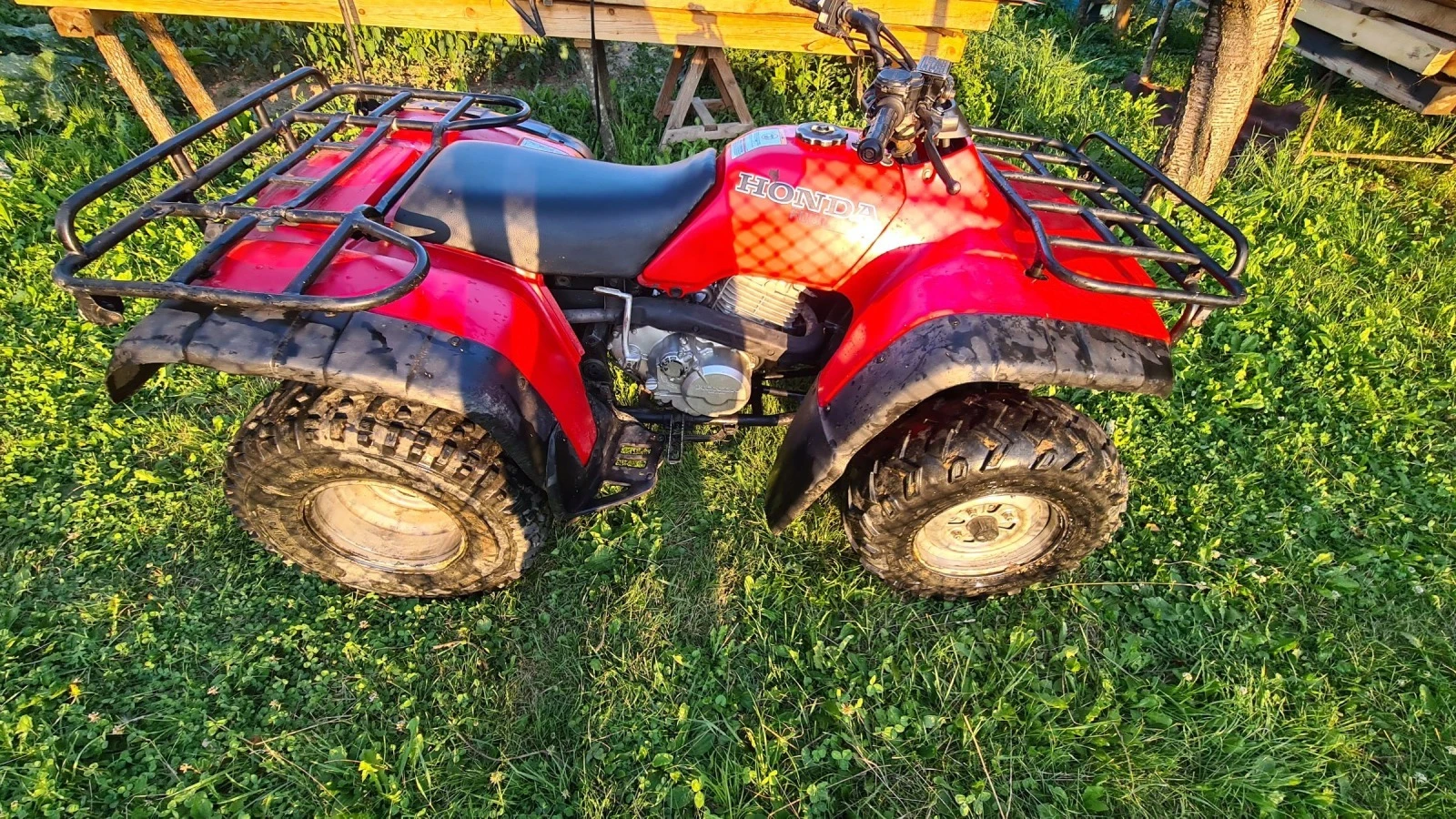 Honda FourTrax 4х4 - изображение 4