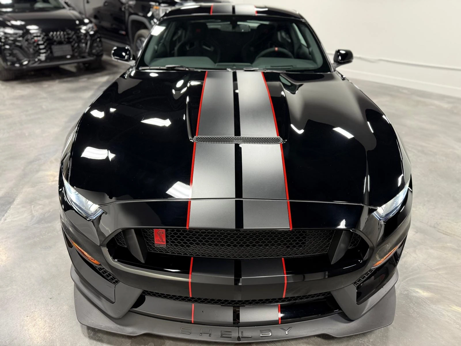 Ford Mustang SHELBY GT350R Fastba* * CARFAX * * ���� ������ * * | Mobile.bg � ����������� 2