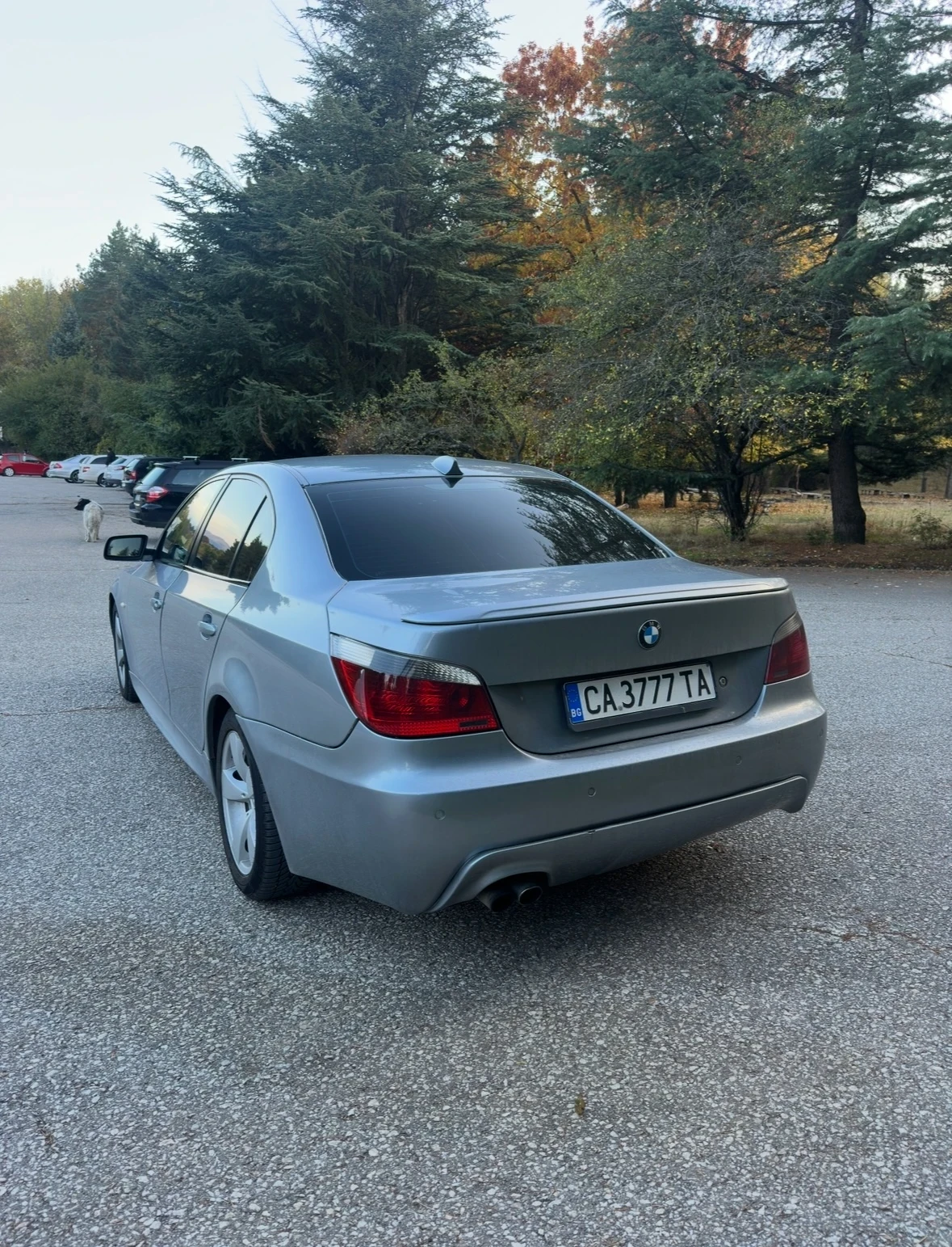 BMW 530, снимка 7 - Автомобили и джипове - 56711841
