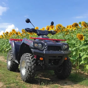 Kawasaki Brute Force, снимка 2