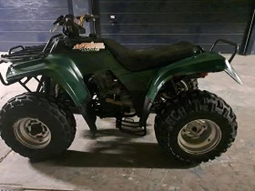     Kawasaki Klf 300