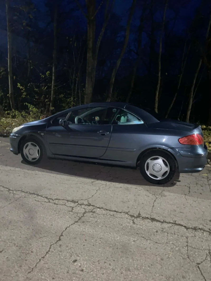 Peugeot 307, снимка 3 - Автомобили и джипове - 52661226