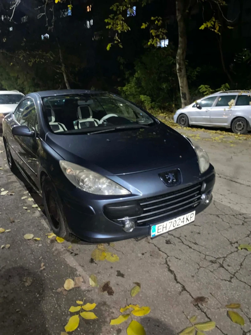 Peugeot 307, снимка 5 - Автомобили и джипове - 52661226
