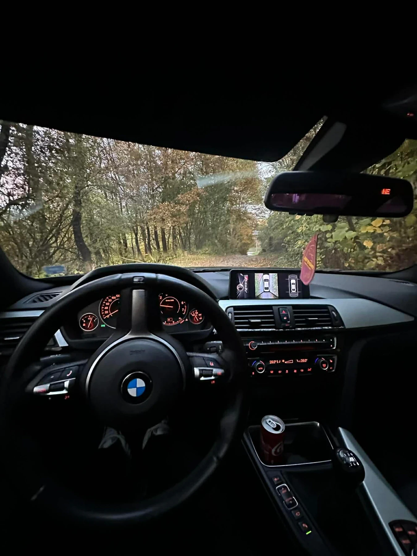 BMW 435 4x4, снимка 8 - Автомобили и джипове - 55883281