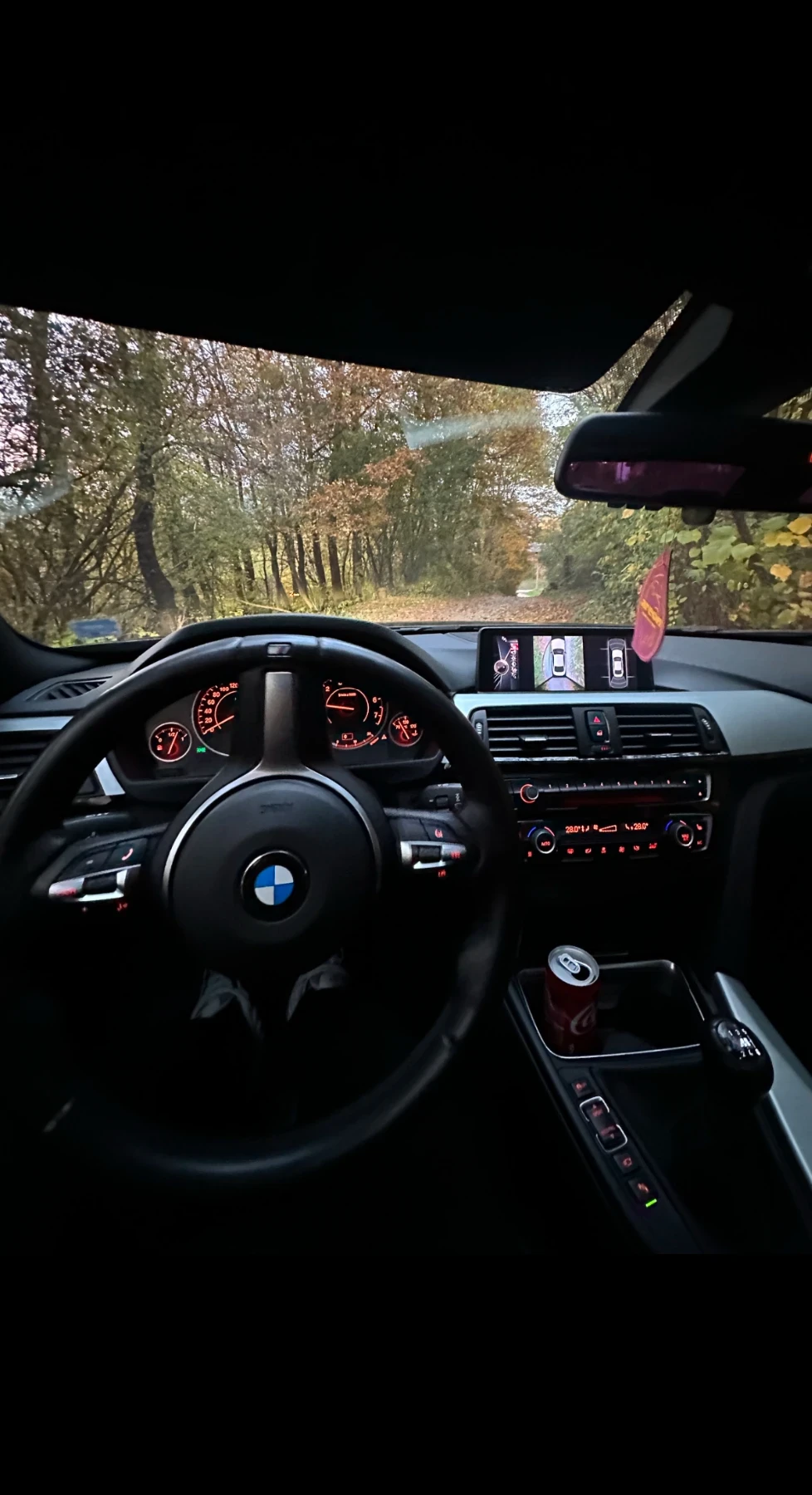 BMW 435 4x4, снимка 5 - Автомобили и джипове - 55883281