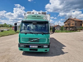 Volvo Fl | Mobile.bg � ����� ������ 5