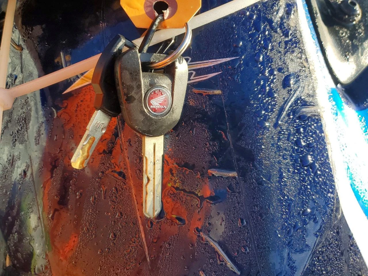 Honda Crf 1100 AFRICA TWIN DCT, снимка 8 - Мотоциклети и мототехника - 53912663