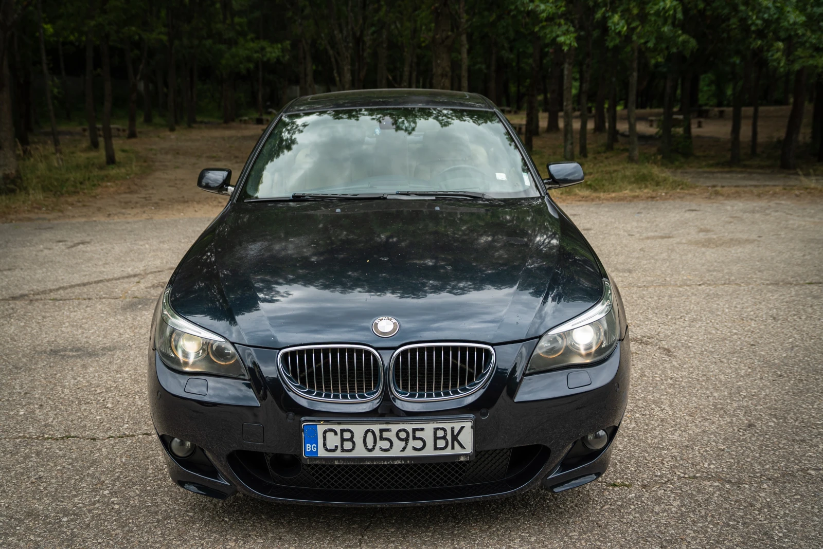 BMW 530 XD - изображение 2