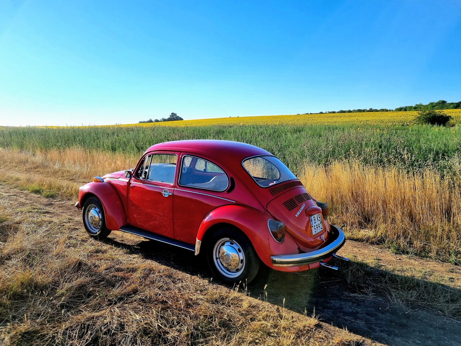 VW 1303  - изображение 9