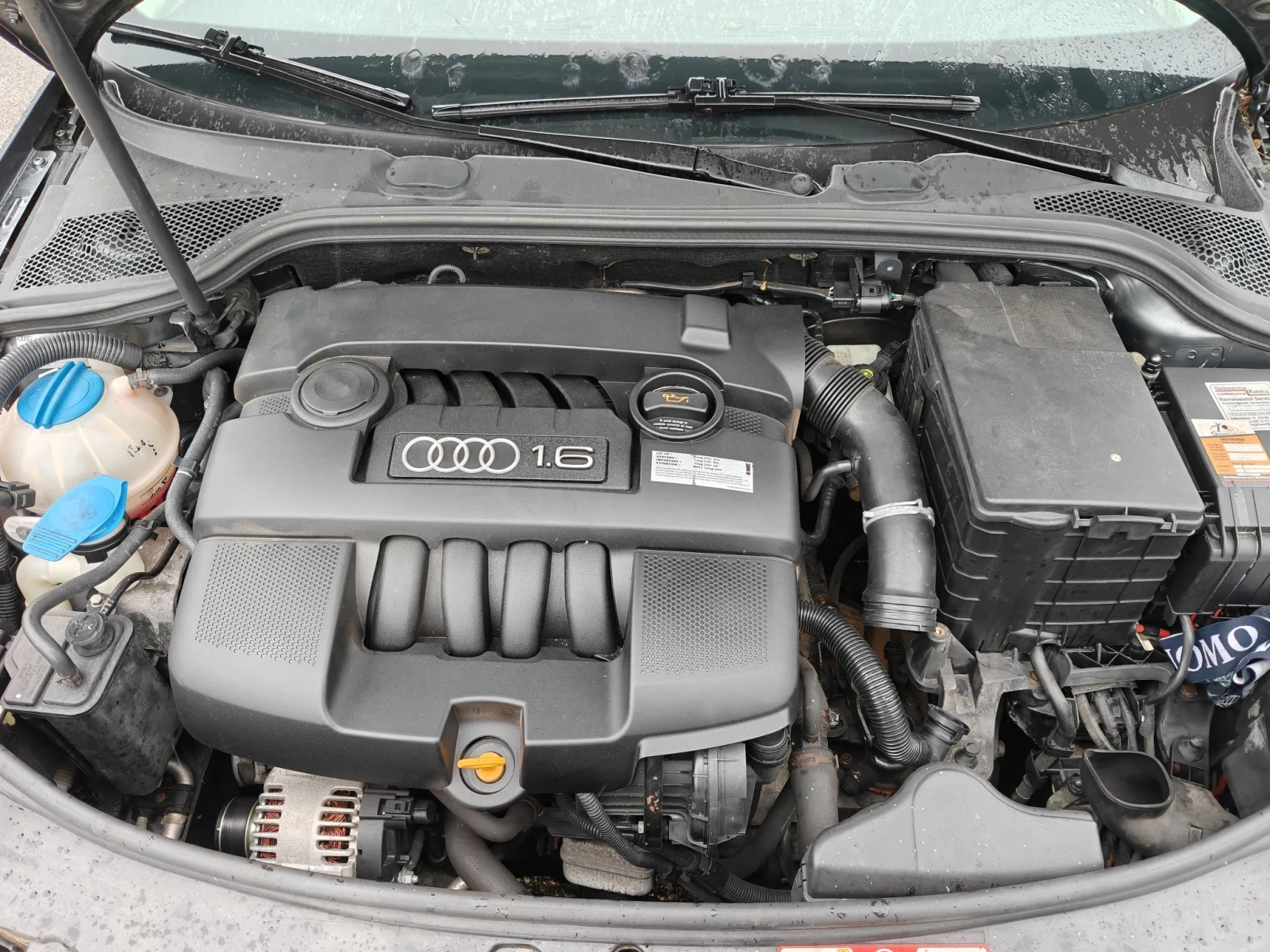 Audi A3 8P / S-line / �� ����� / 1.6i / 102�� | Mobile.bg � ����������� 7
