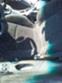 Обява за продажба на Hyundai Coupe 1.6 16v ~11 лв. - изображение 4