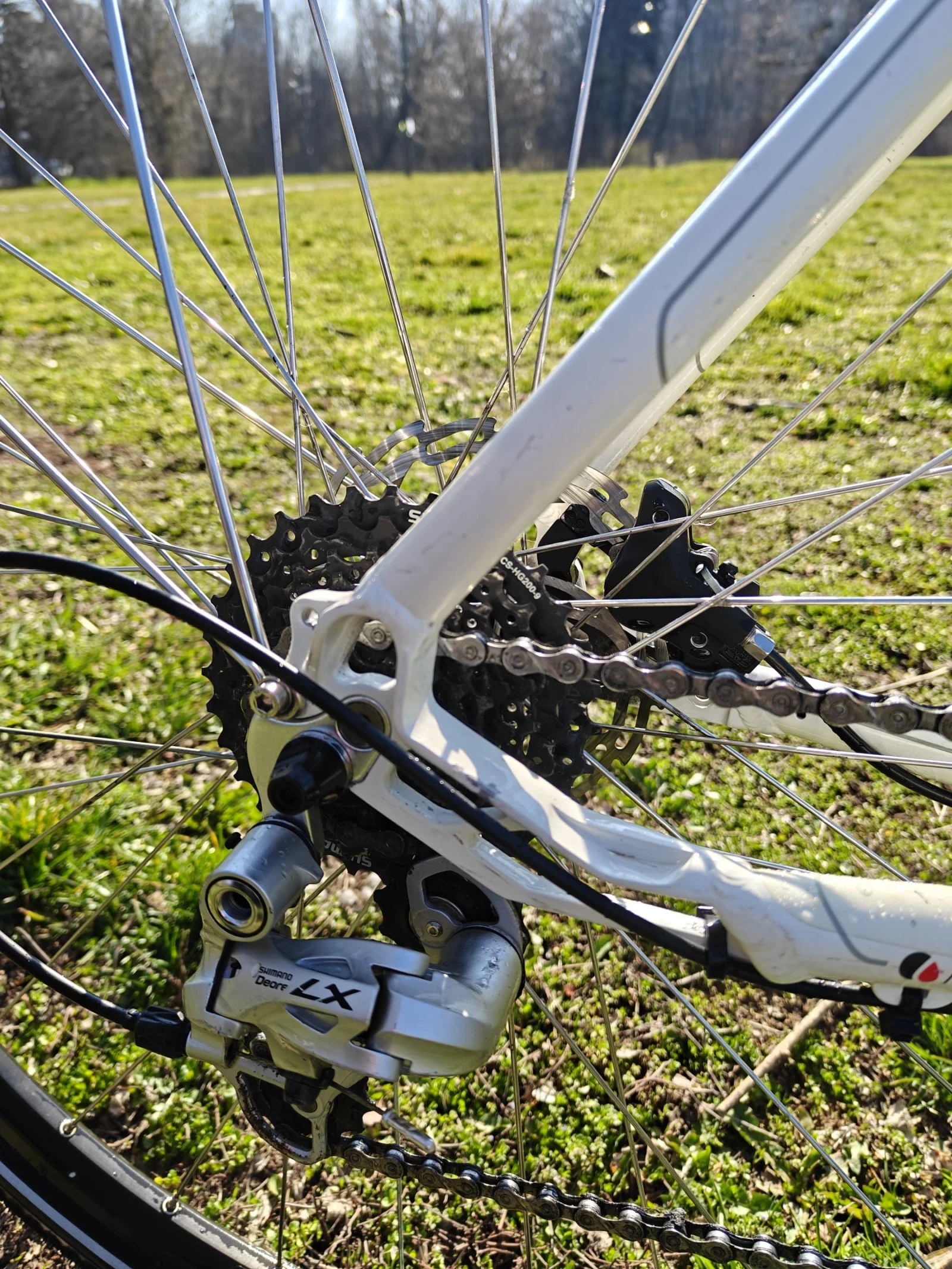 ������ Central SL | Mobile.bg � ����������� 5