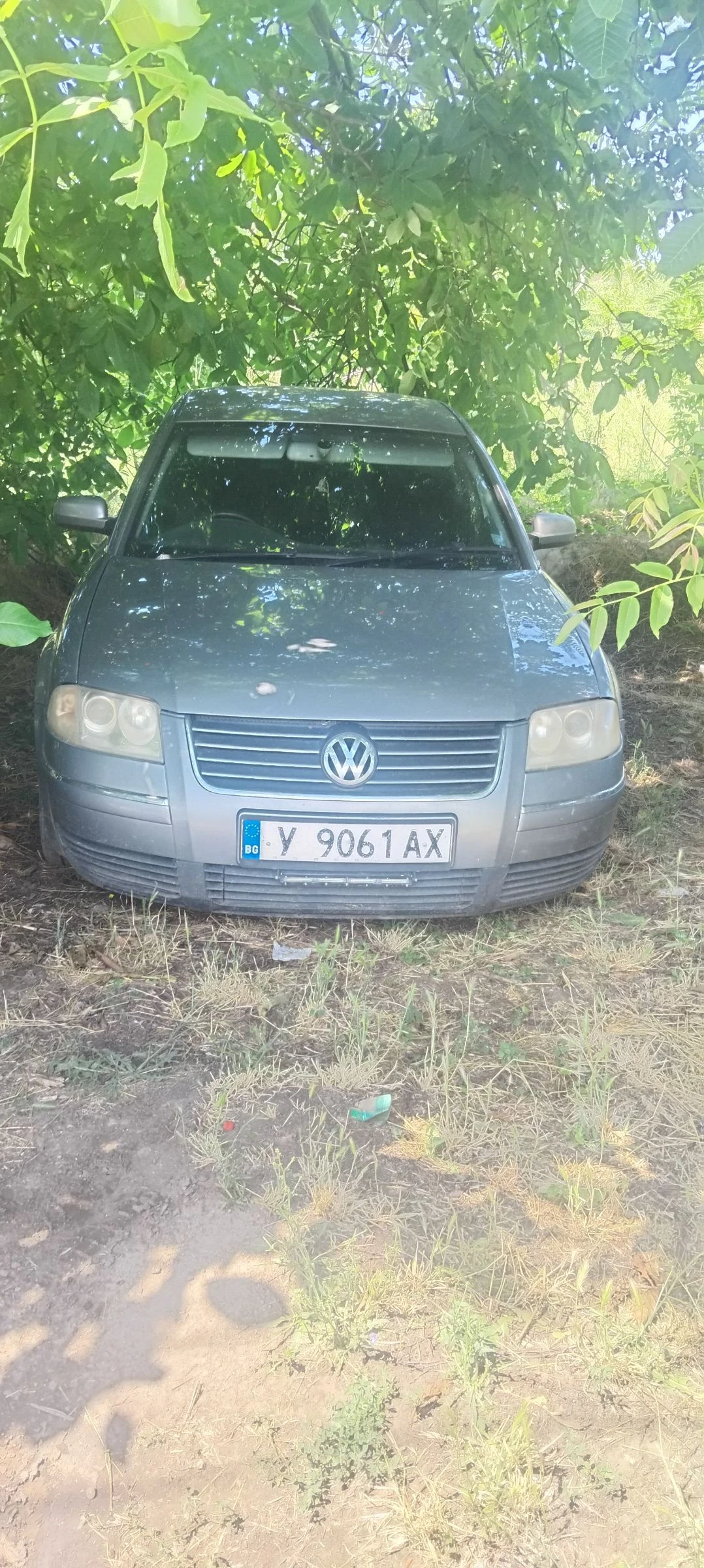 VW Passat