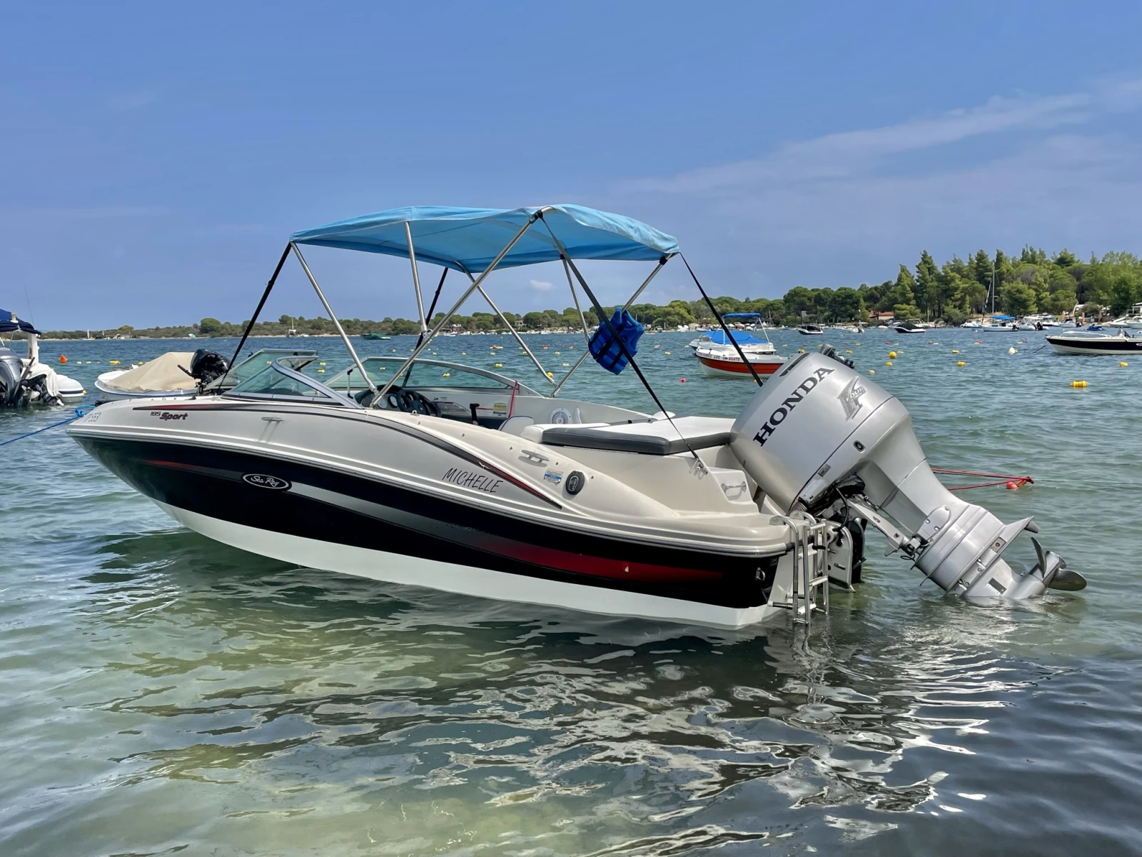 Моторна яхта Sea Ray 185 Sport - изображение 2