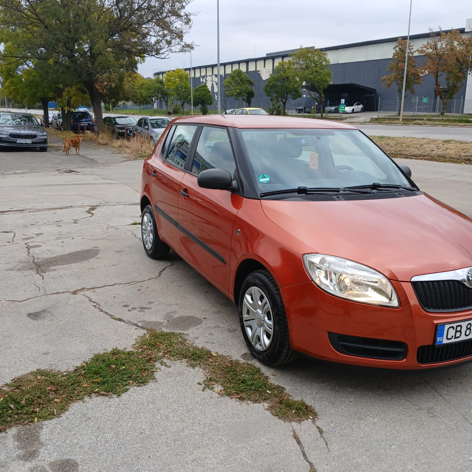 Skoda Fabia, снимка 3 - Автомобили и джипове - 56552439
