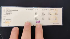 Honda Hornet CB600F, За ценители!, снимка 15